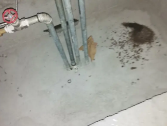 甘南卫生间测漏水价格明细