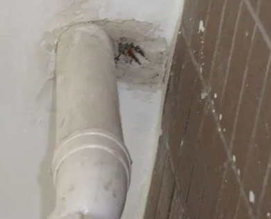 甘南漏水检测哪家好